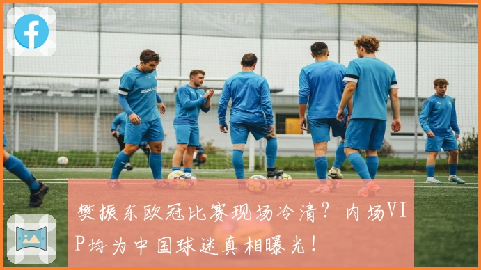 樊振东欧冠比赛现场冷清？内场VIP均为中国球迷真相曝光！