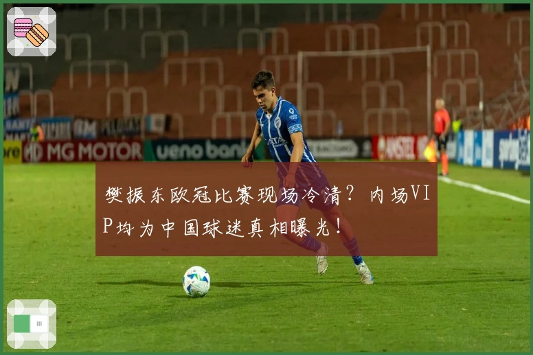 樊振东欧冠比赛现场冷清？内场VIP均为中国球迷真相曝光！